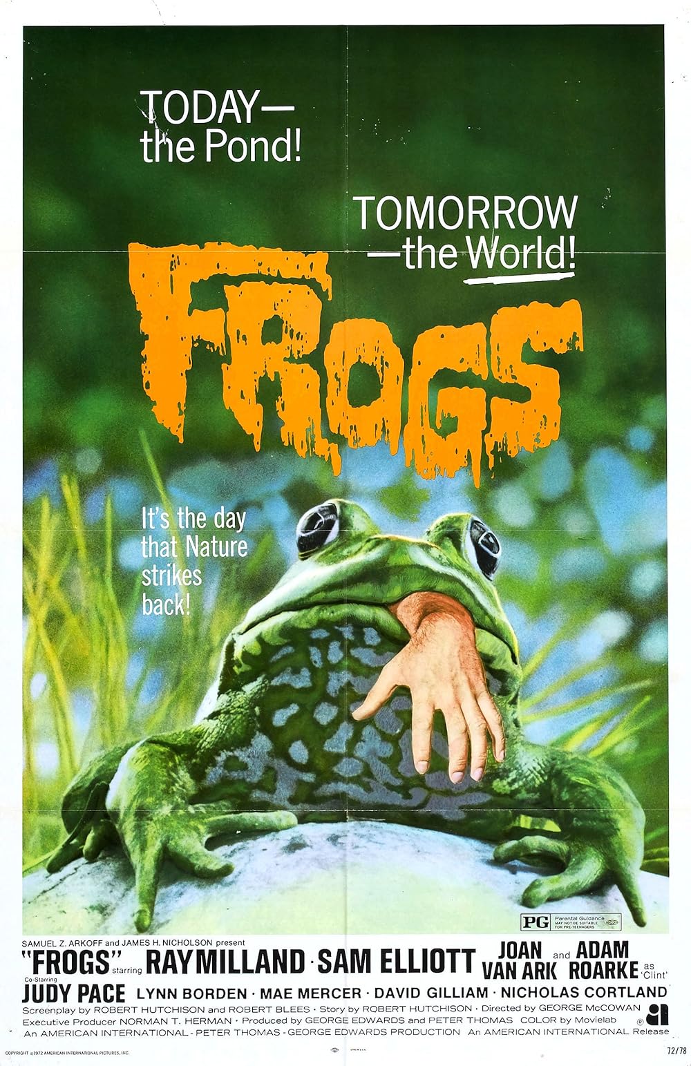 Frogs Frogs