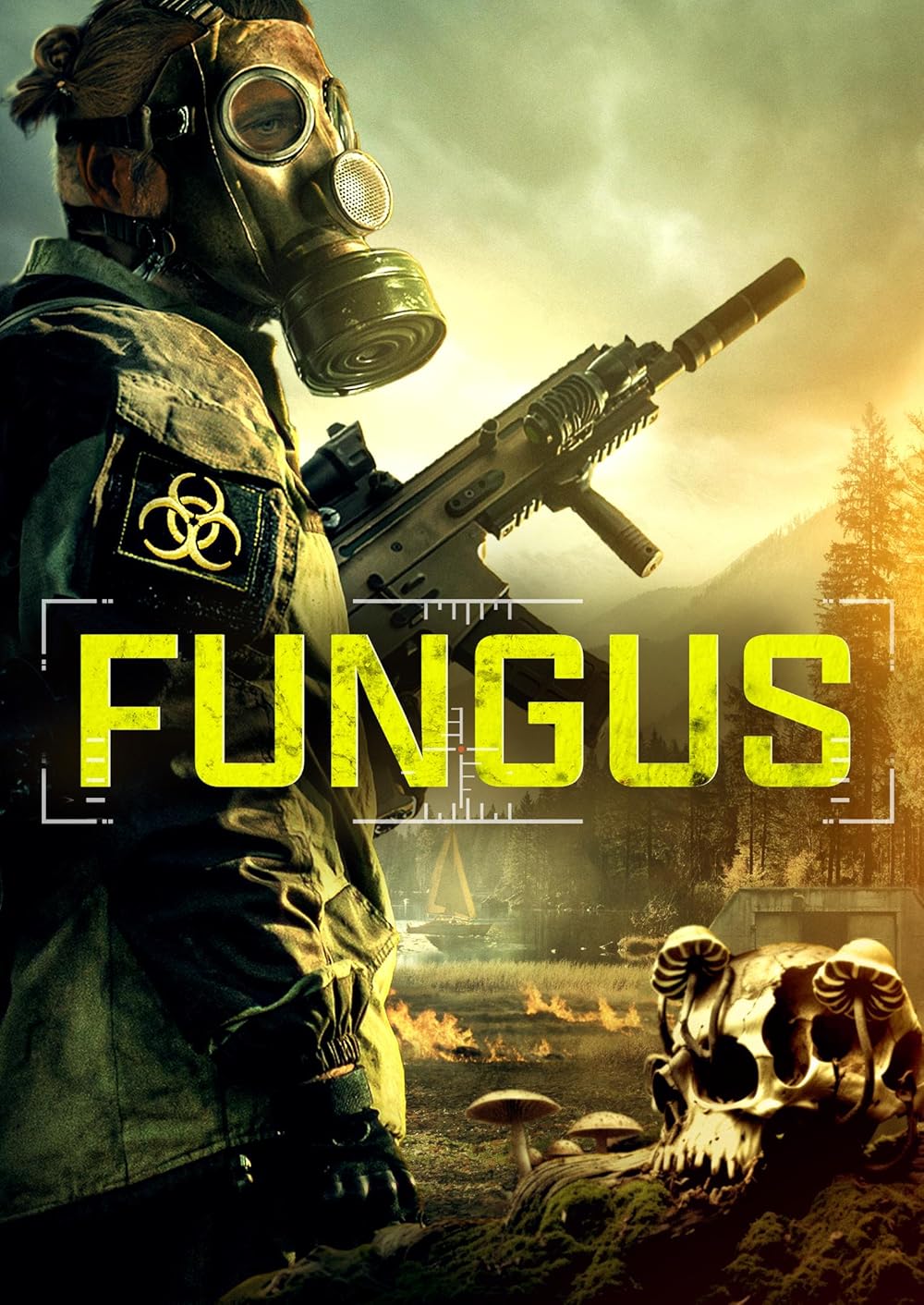 Fungus Fungus