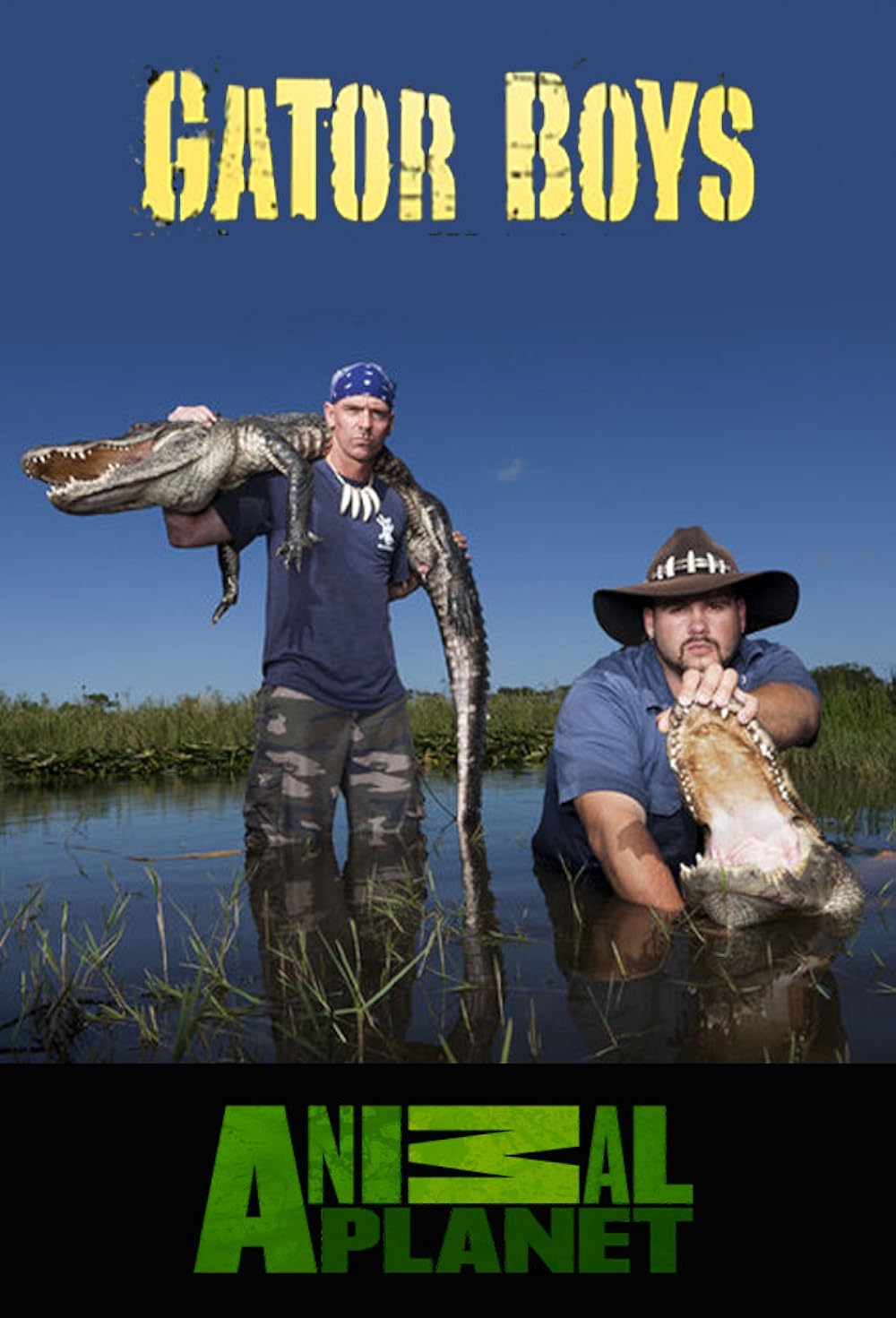 Gator Gator