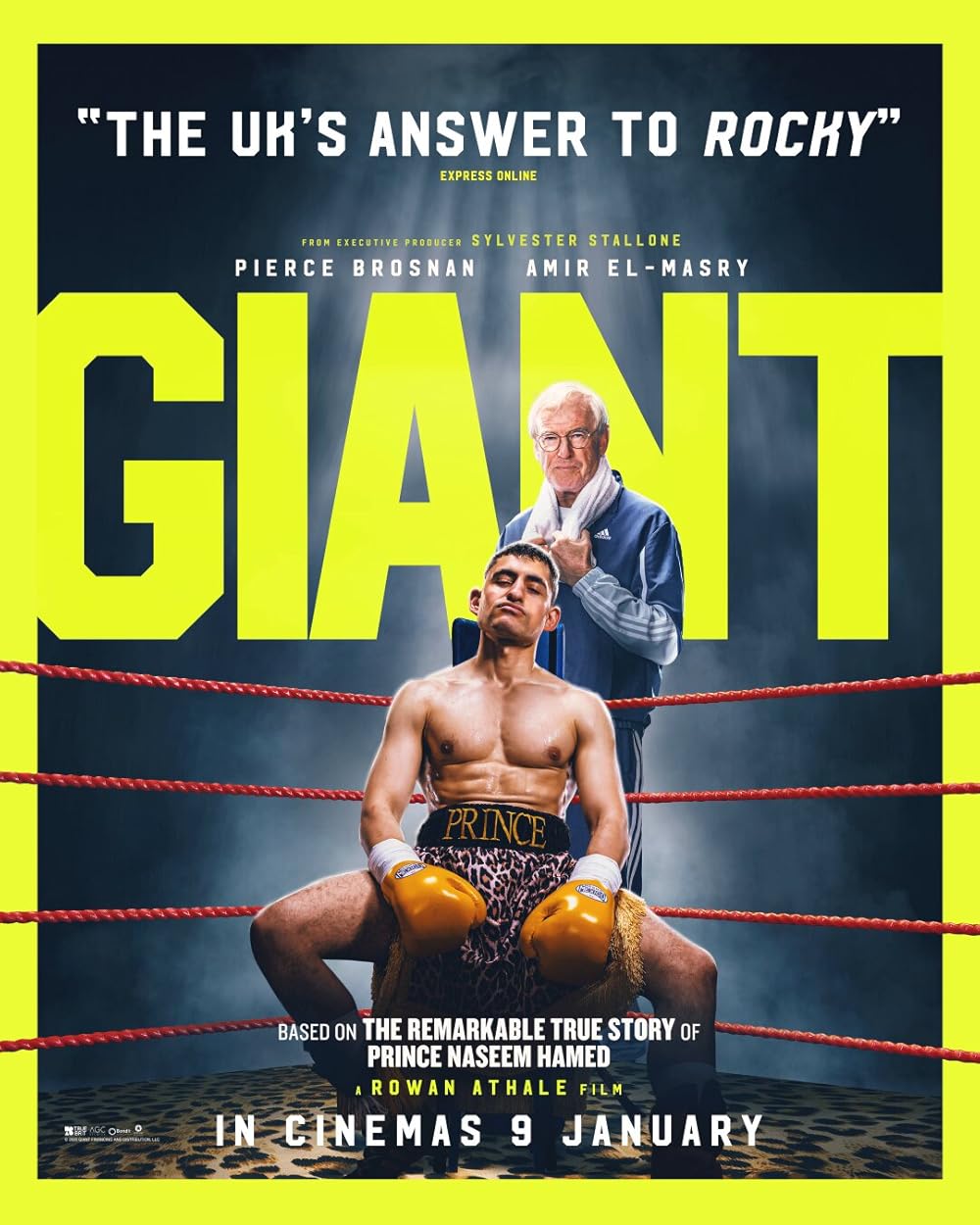 Giant Giant
