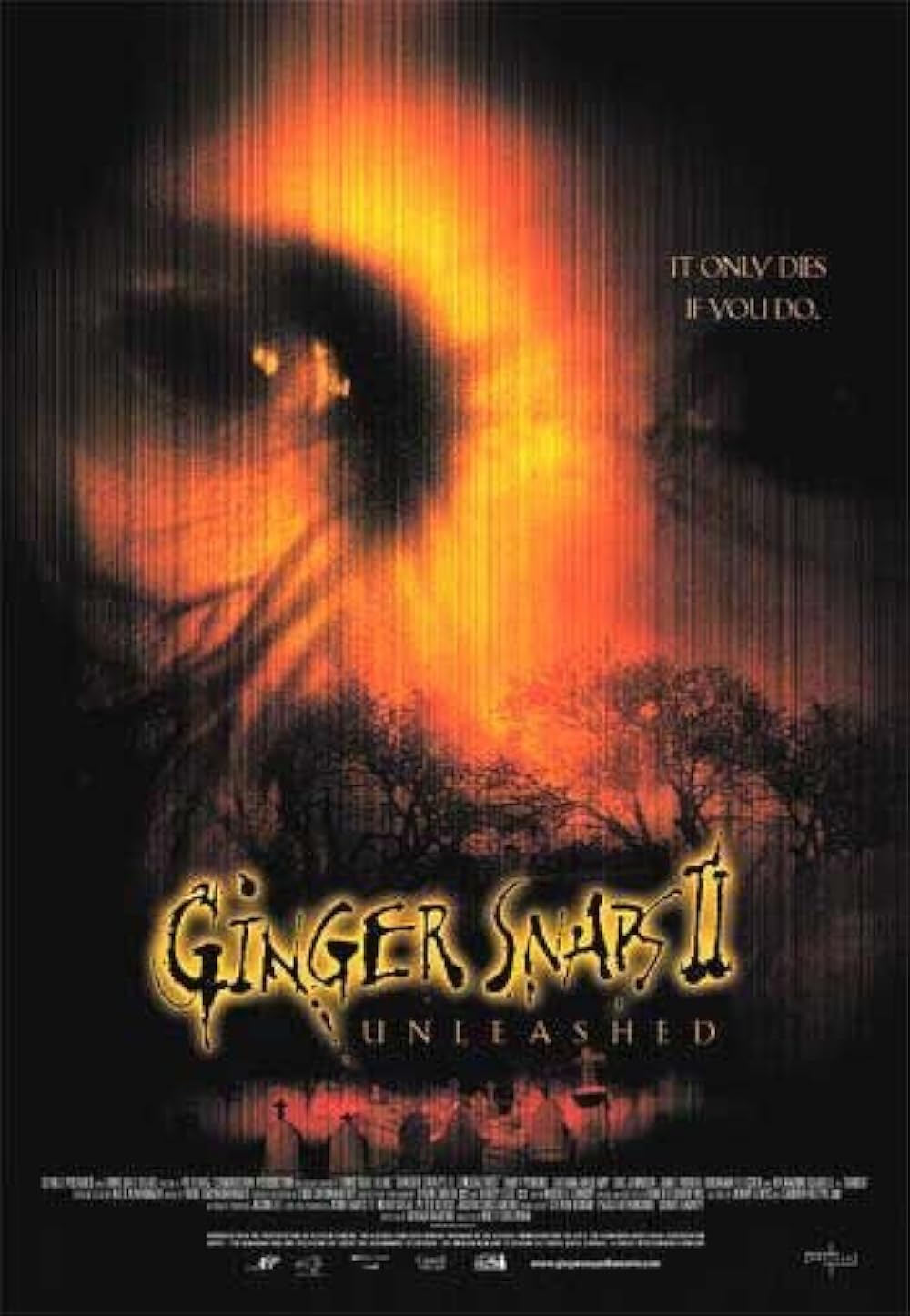 Ginger Ginger