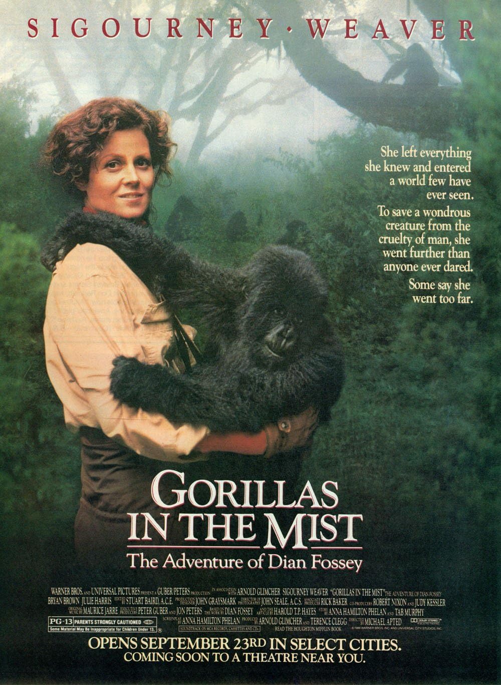 Gorillas Gorillas