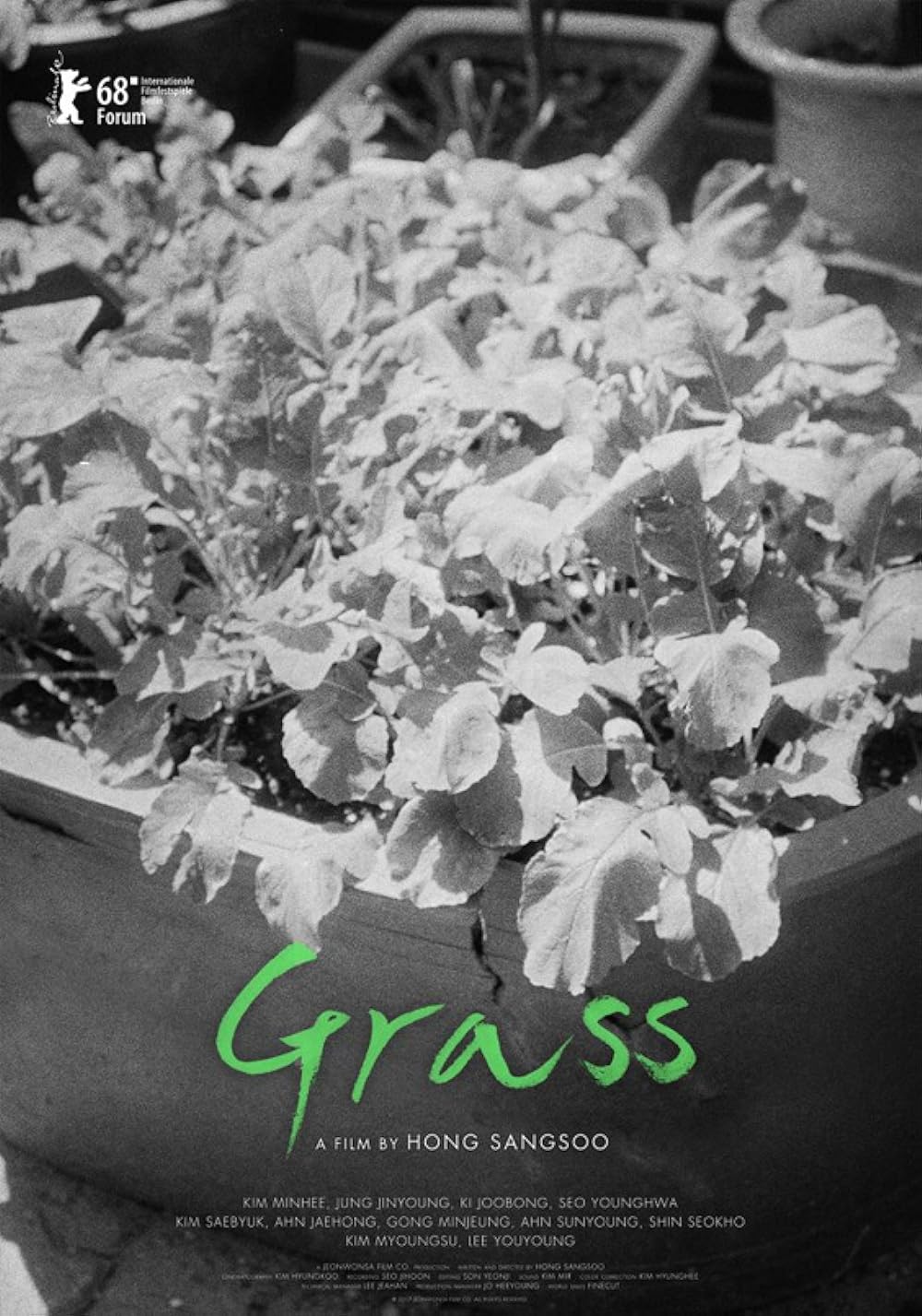 Grass Grass