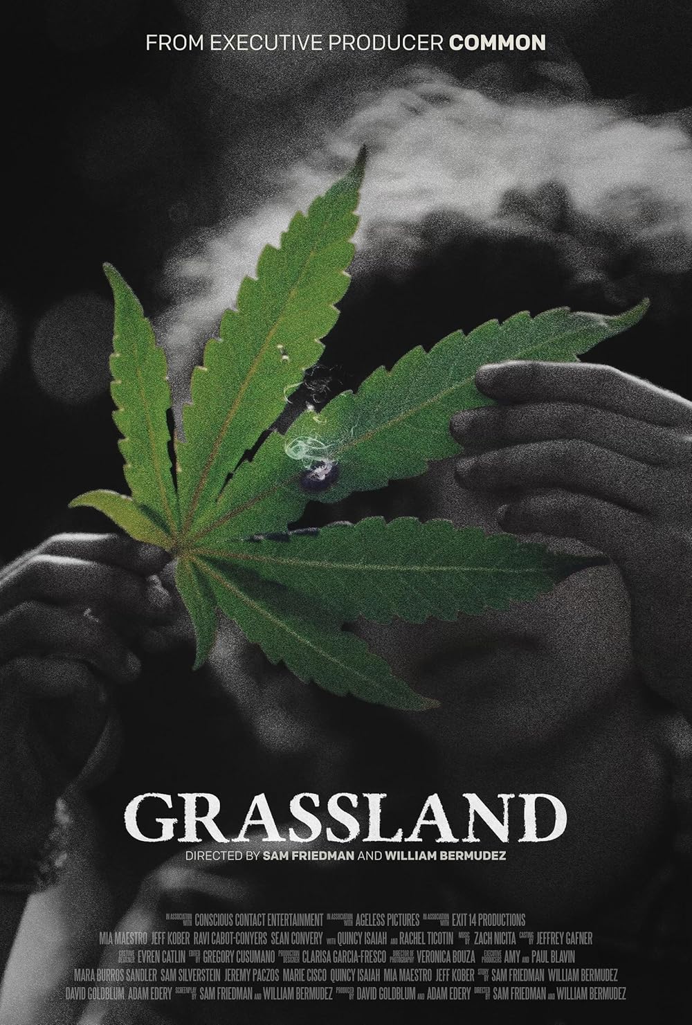 Grassland