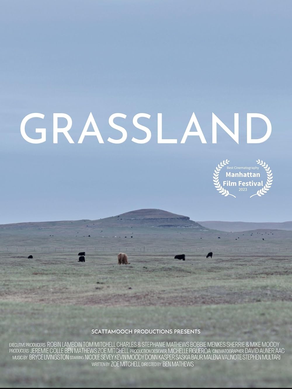 Grassland Grassland