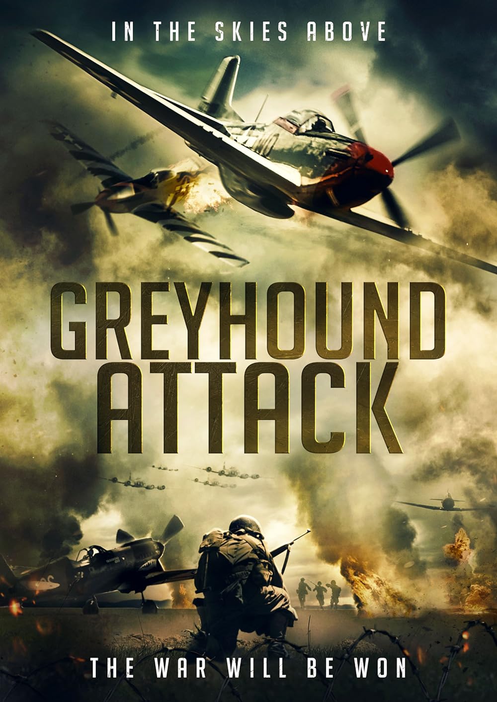 Greyhound Greyhound
