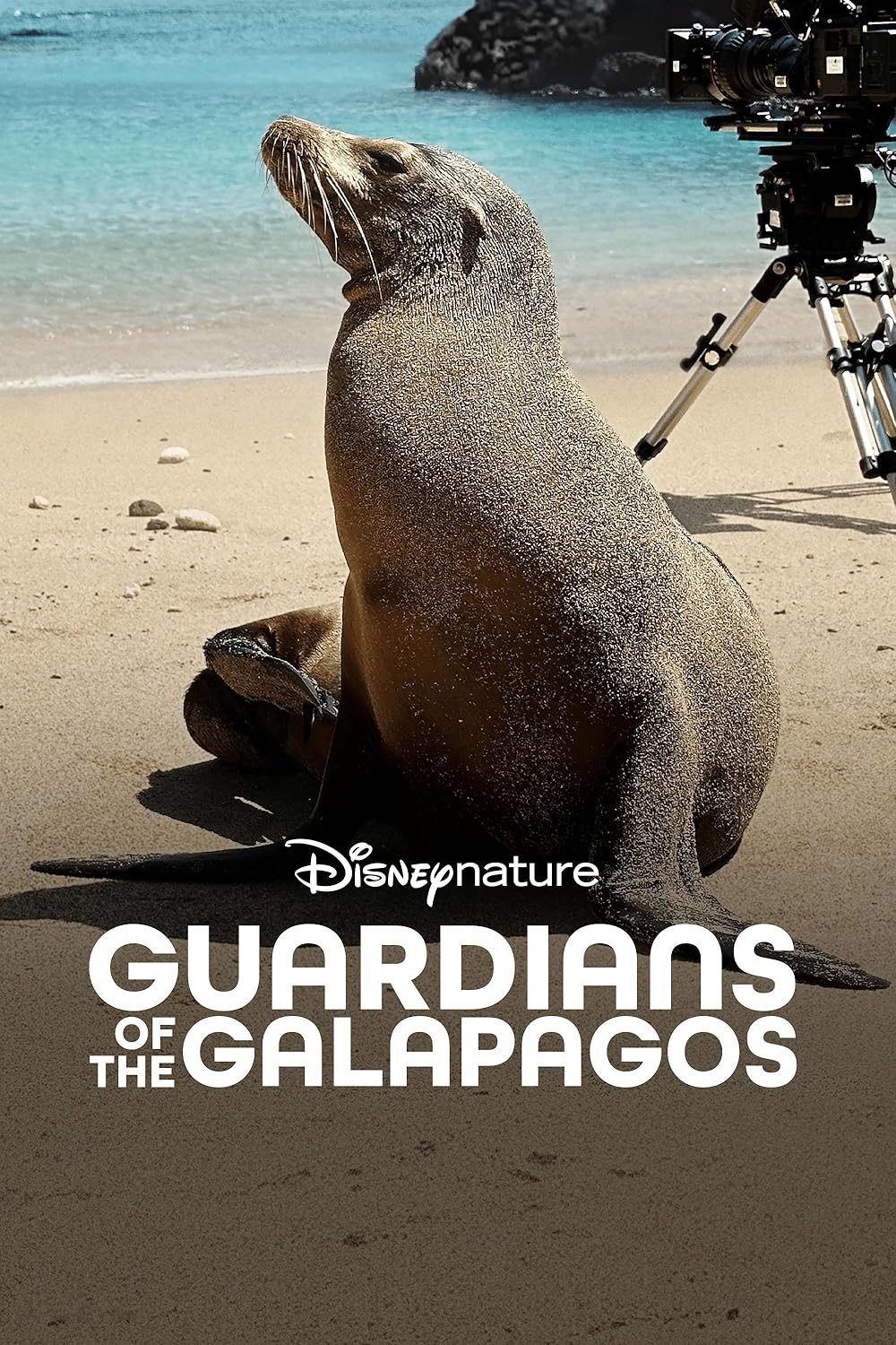 Guardians