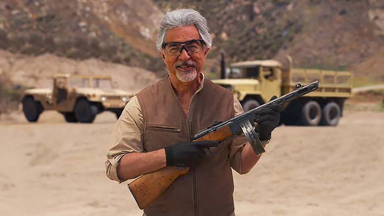Gun