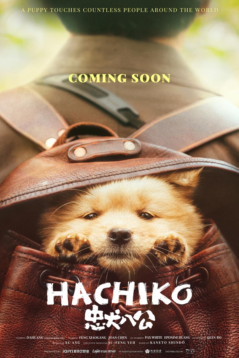Hachiko Hachiko