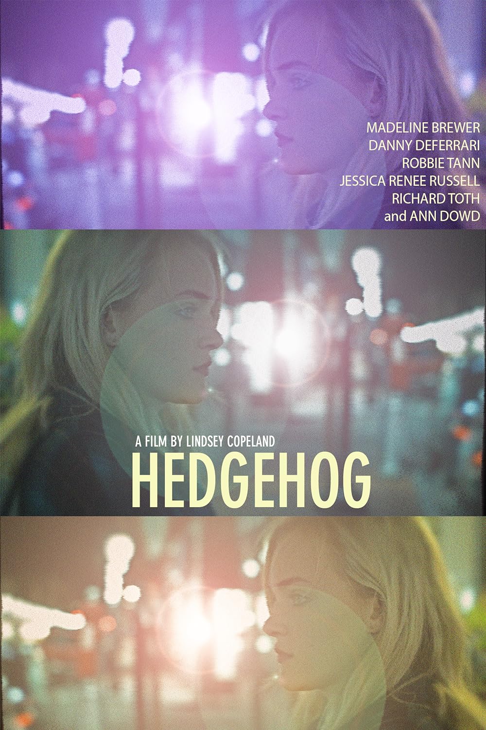 Hedgehog Hedgehog