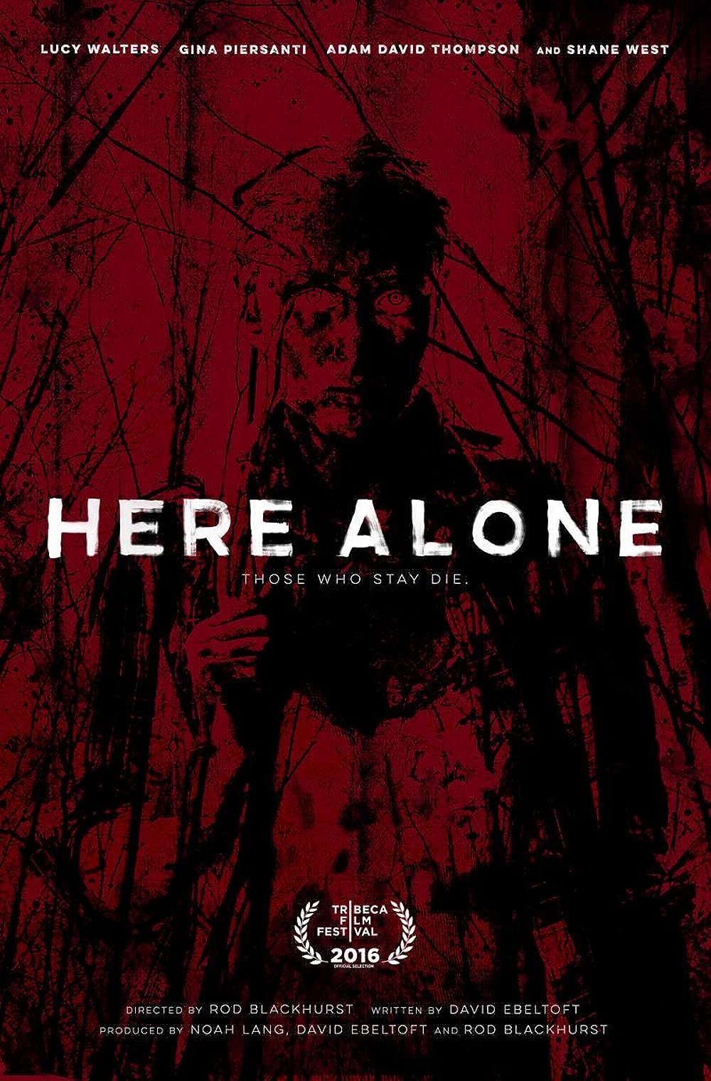 Here Here