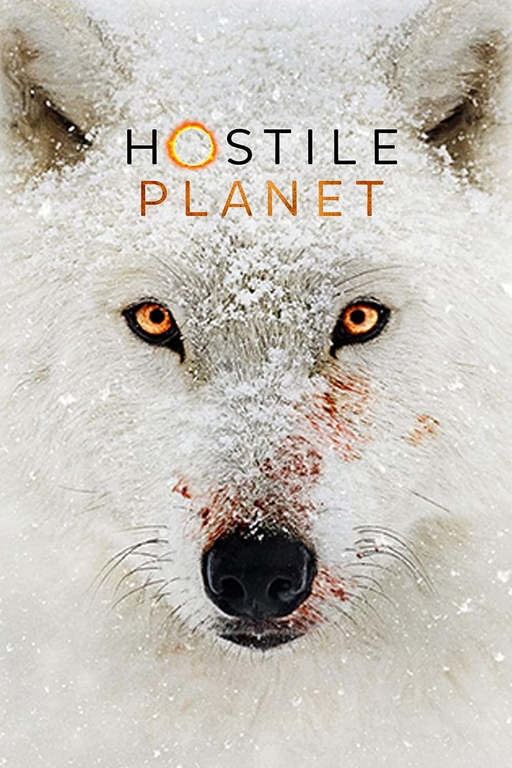 Hostile Hostile