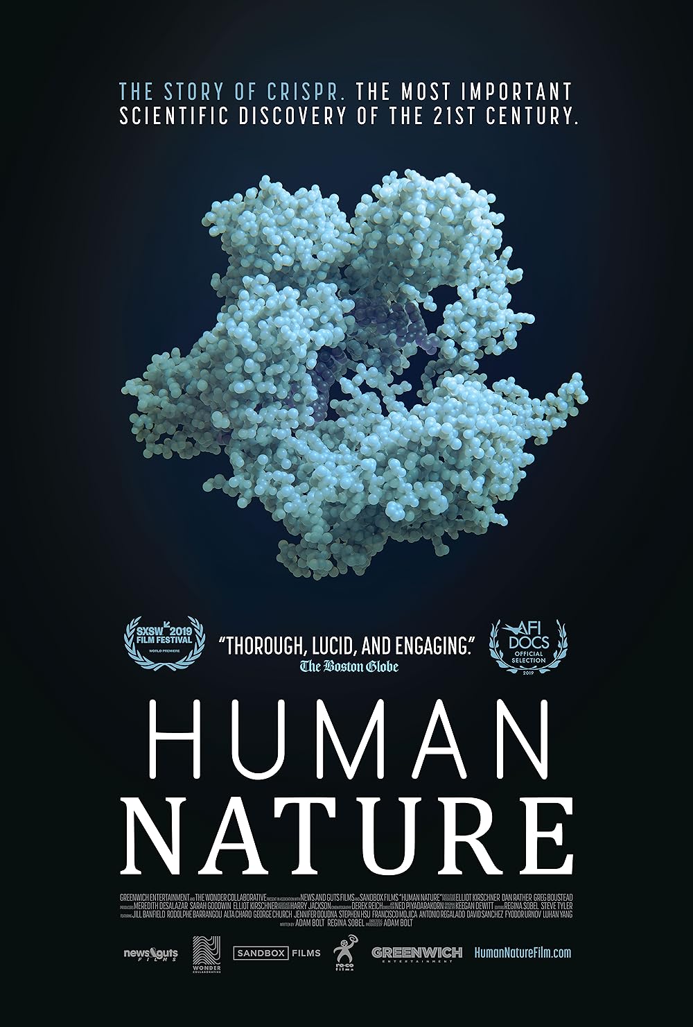 Human Human