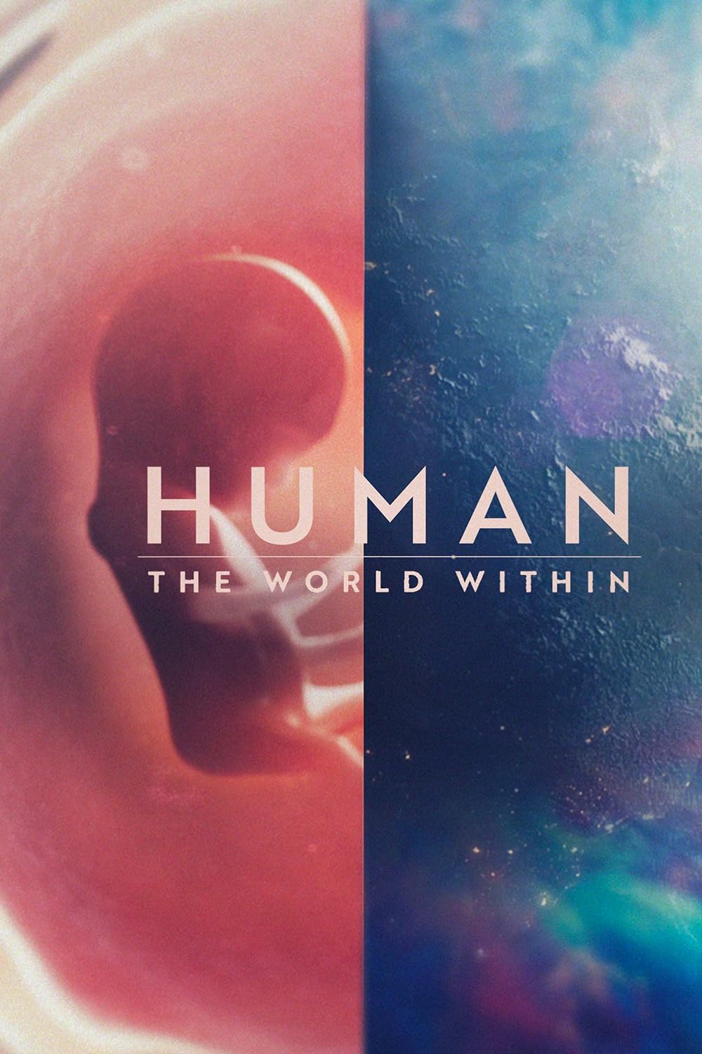 Human: Human: