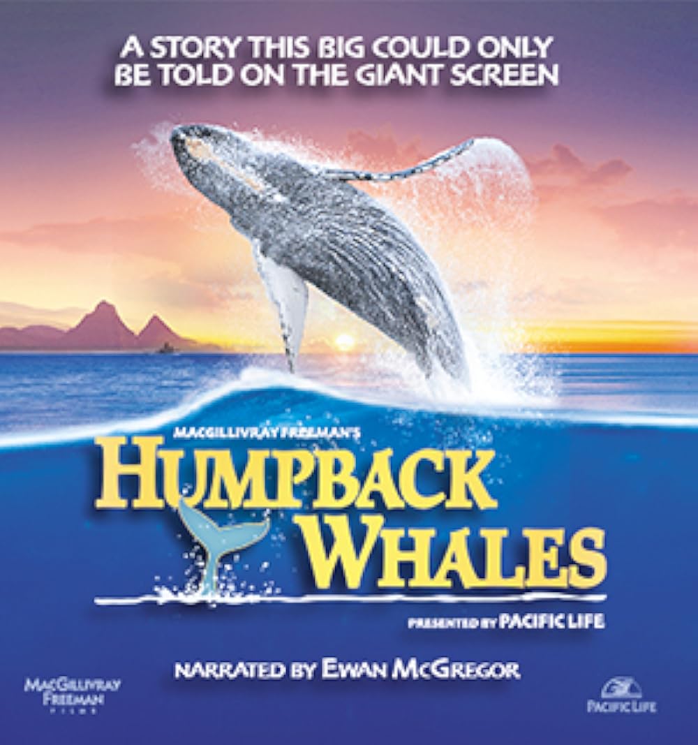Humpback Humpback