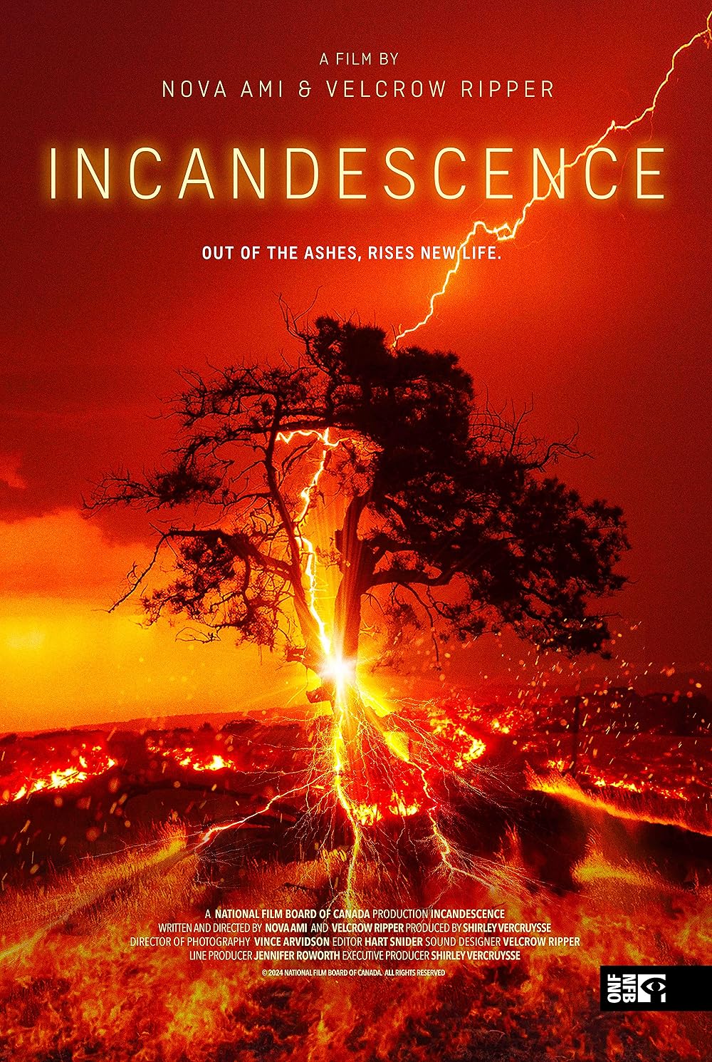 Incandescence Incandescence