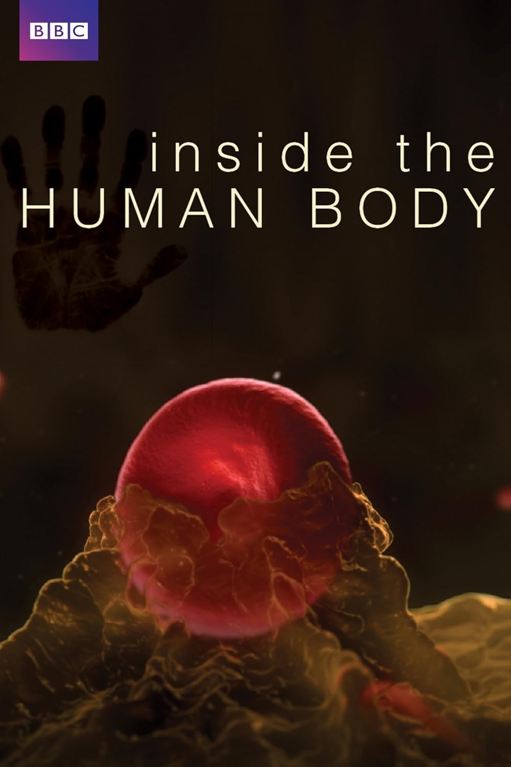 Inside Inside