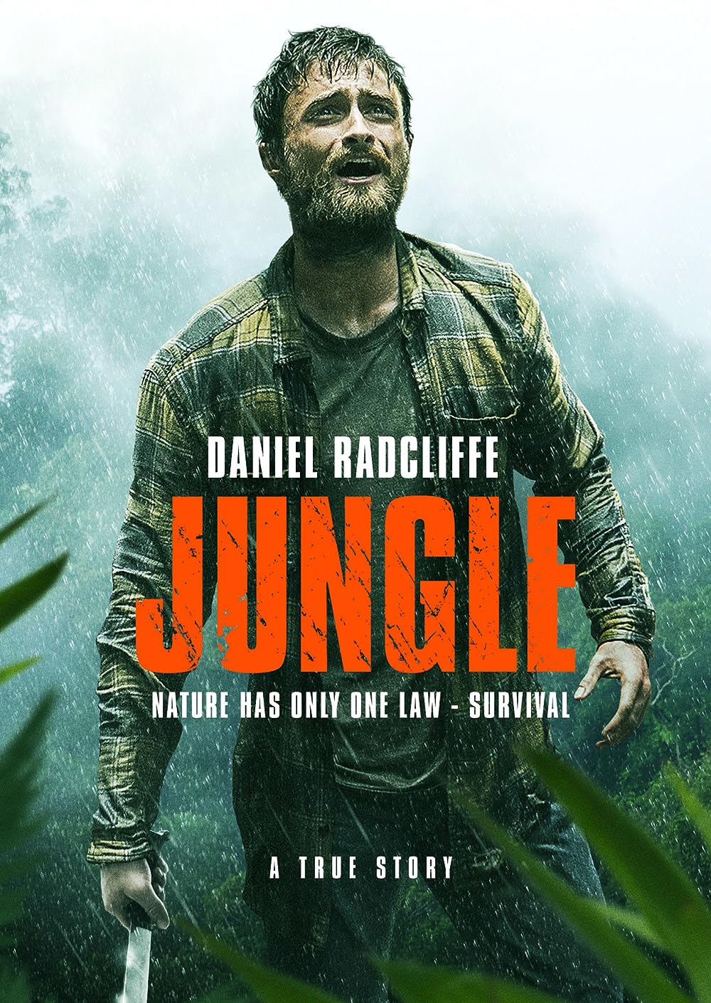Jungle Jungle