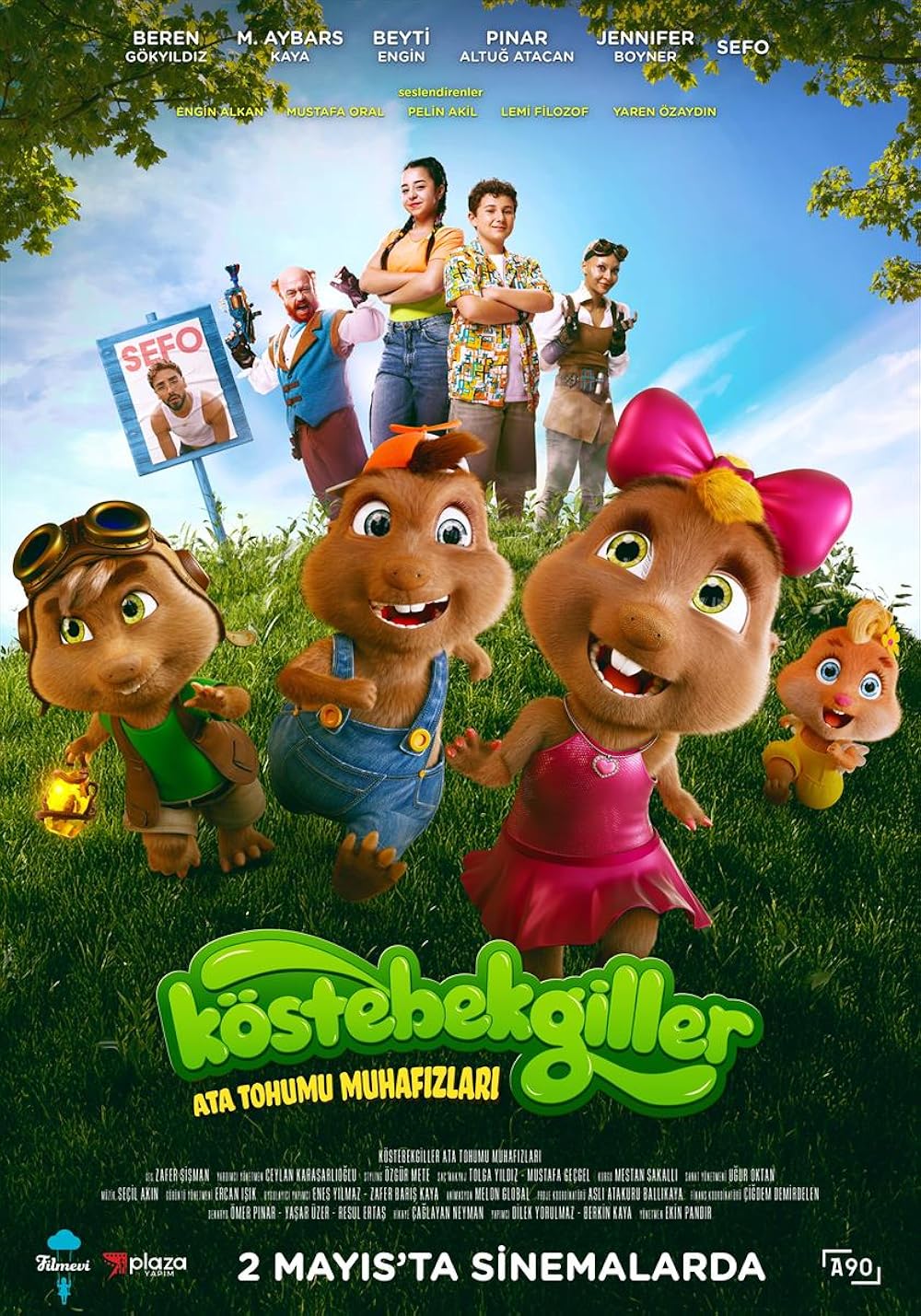 Köstebekgiller: