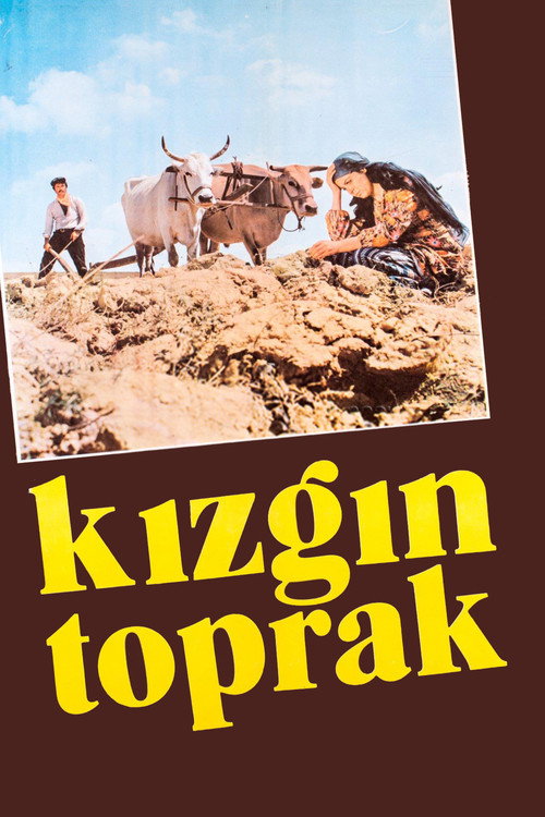 Kızgın