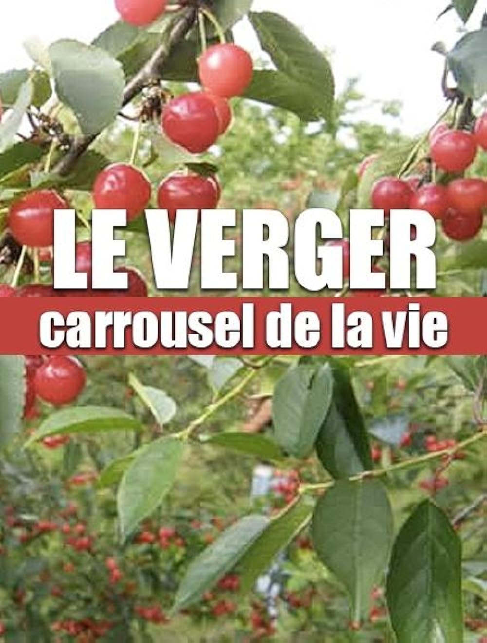 Karussell Karussell