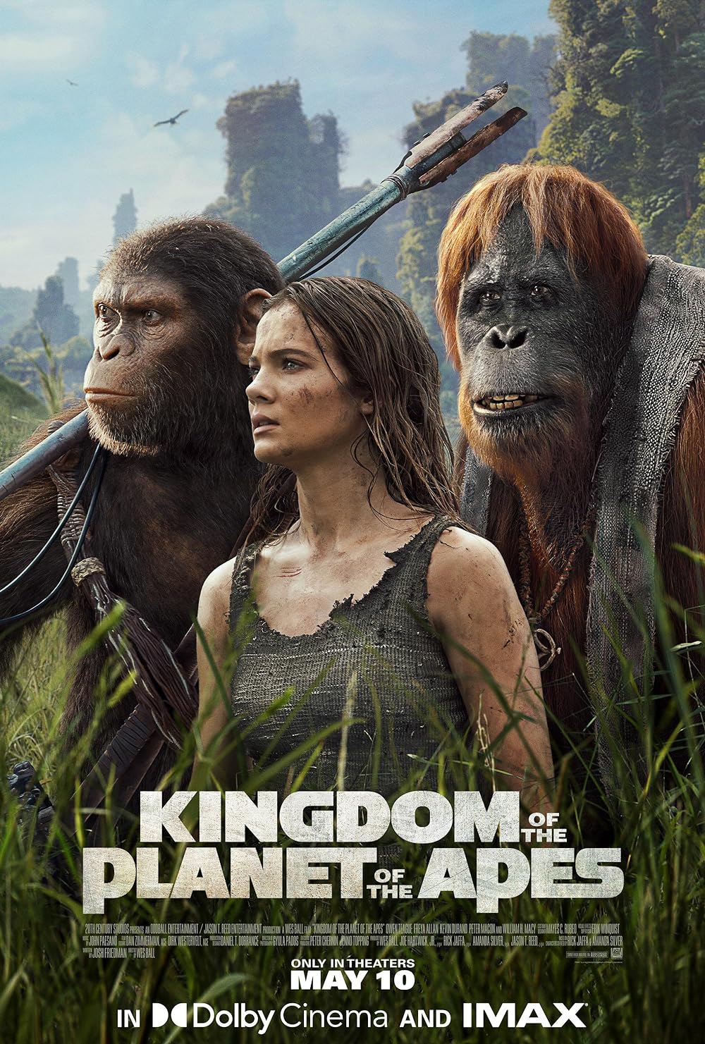 Kingdom