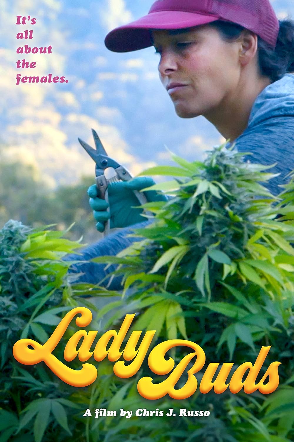 Lady Lady