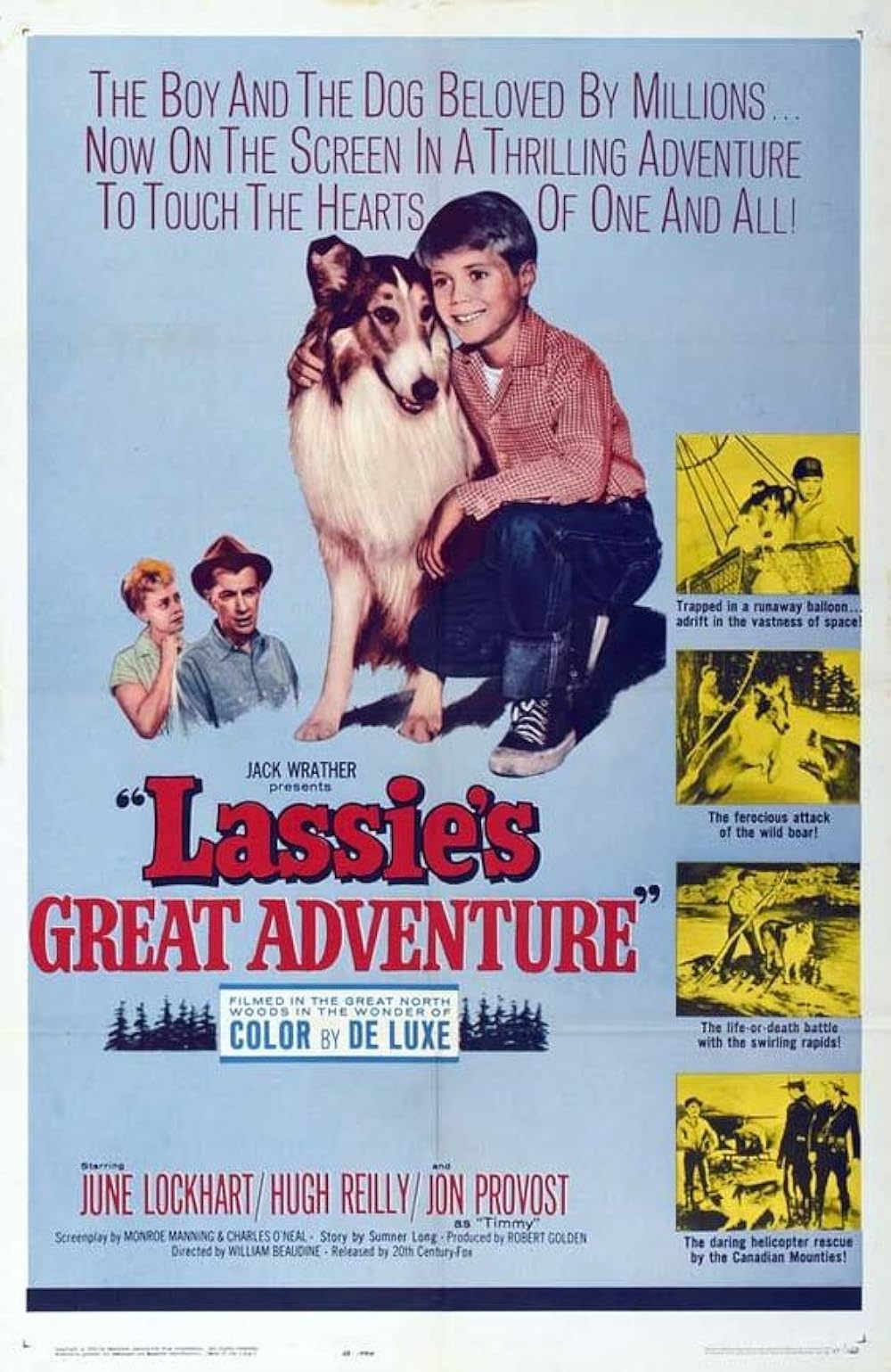 Lassie's Lassie's