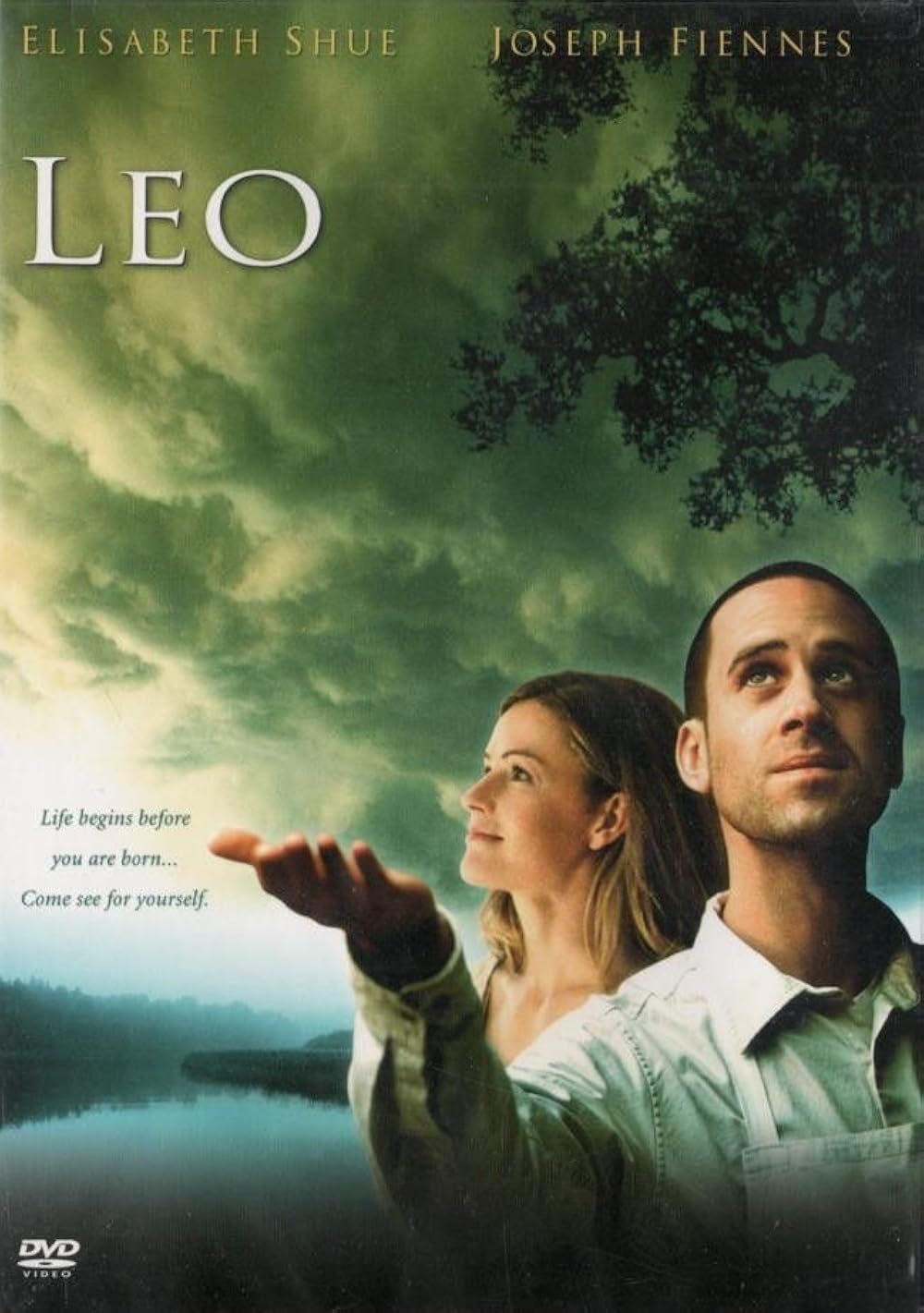 Leo Leo