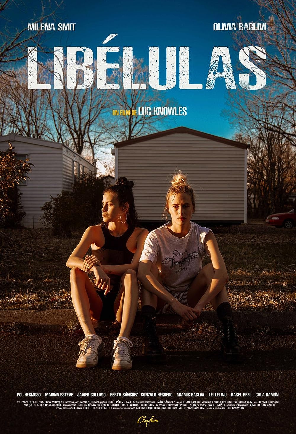 Libélulas Libélulas