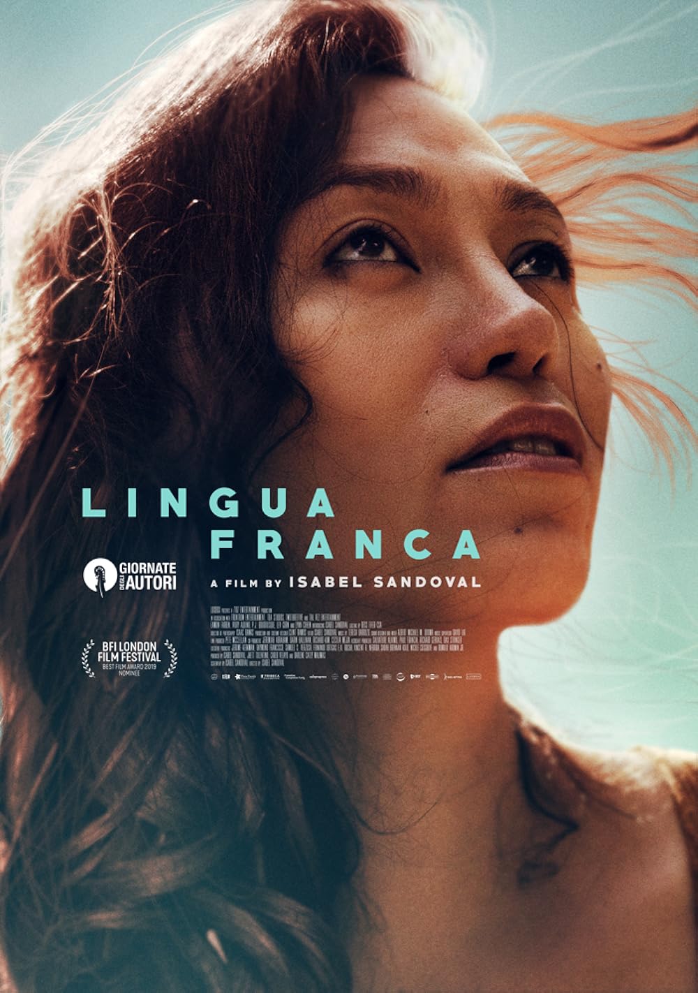 Lingua Lingua