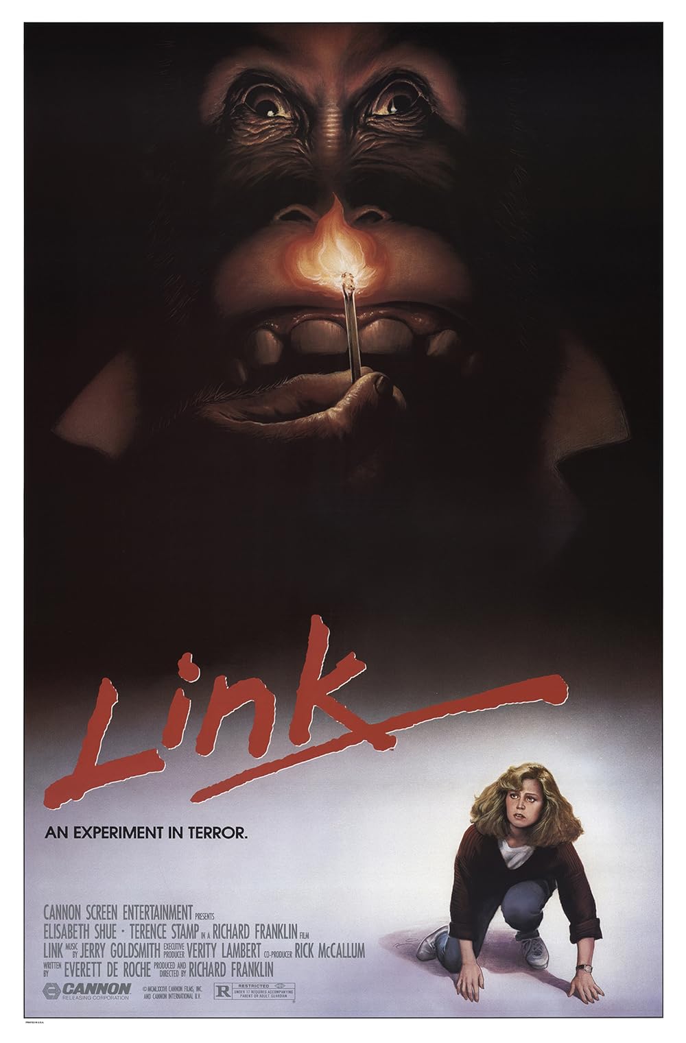 Link Link