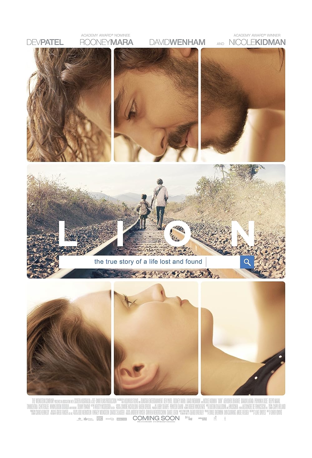 Lion Lion