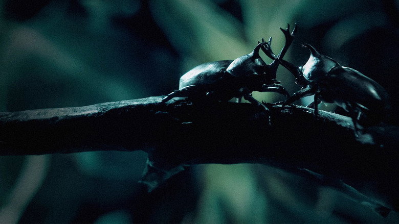 Little Little