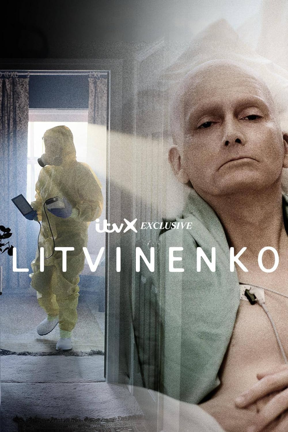 Litvinenko Litvinenko