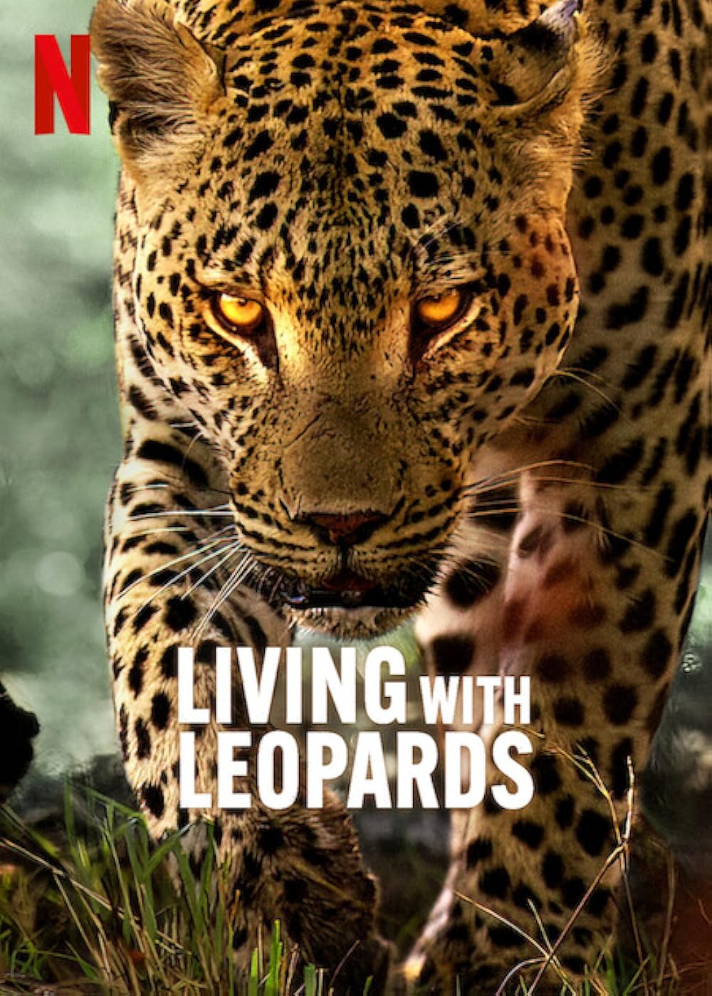 Living Living