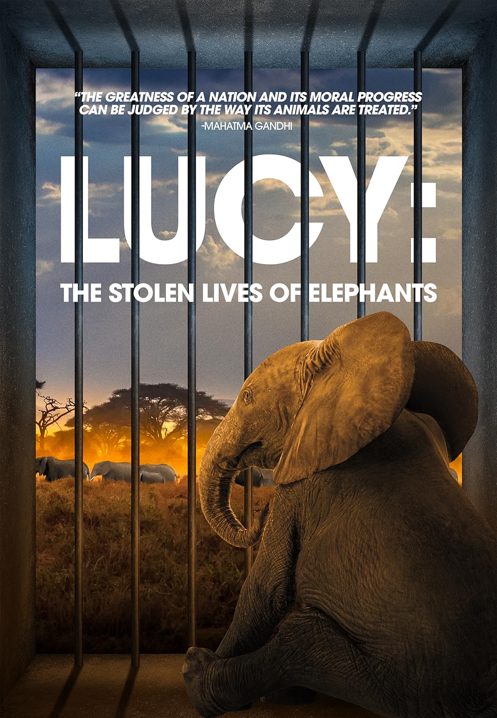 Lucy: Lucy: