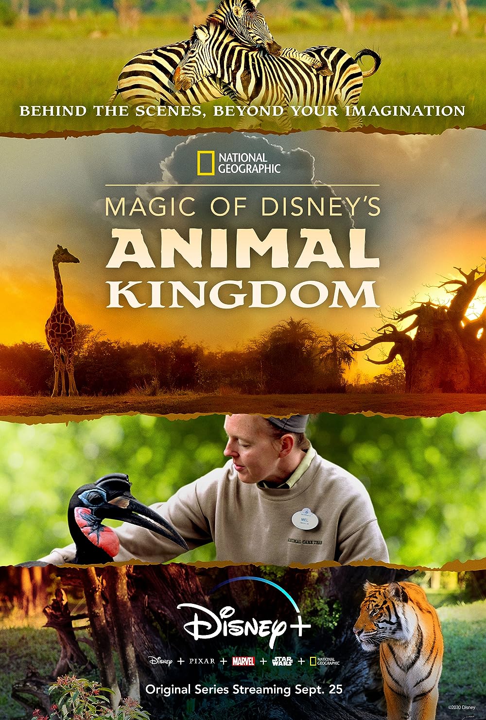 Magic Magic