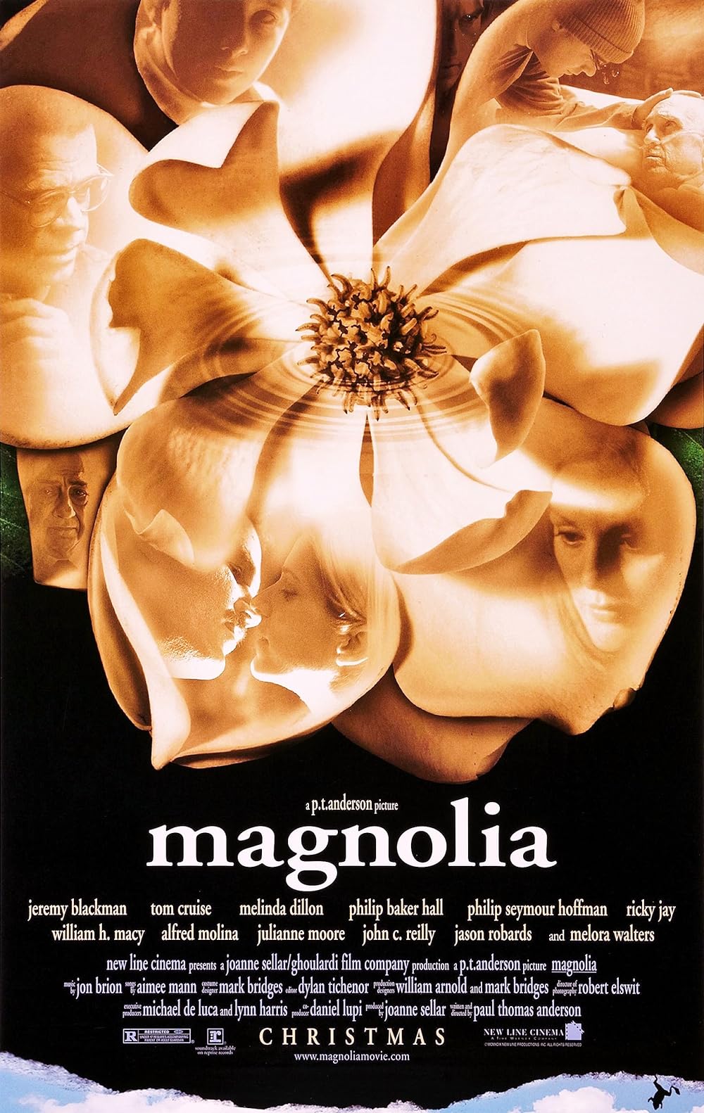 Magnolia Magnolia