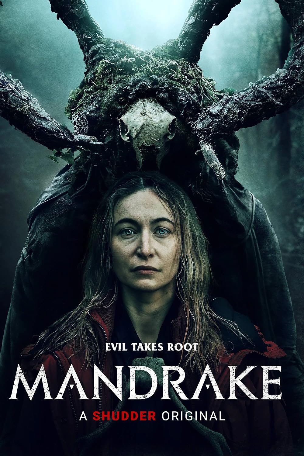 Mandrake Mandrake
