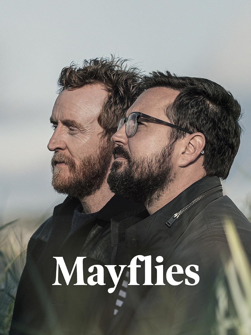 Mayflies Mayflies