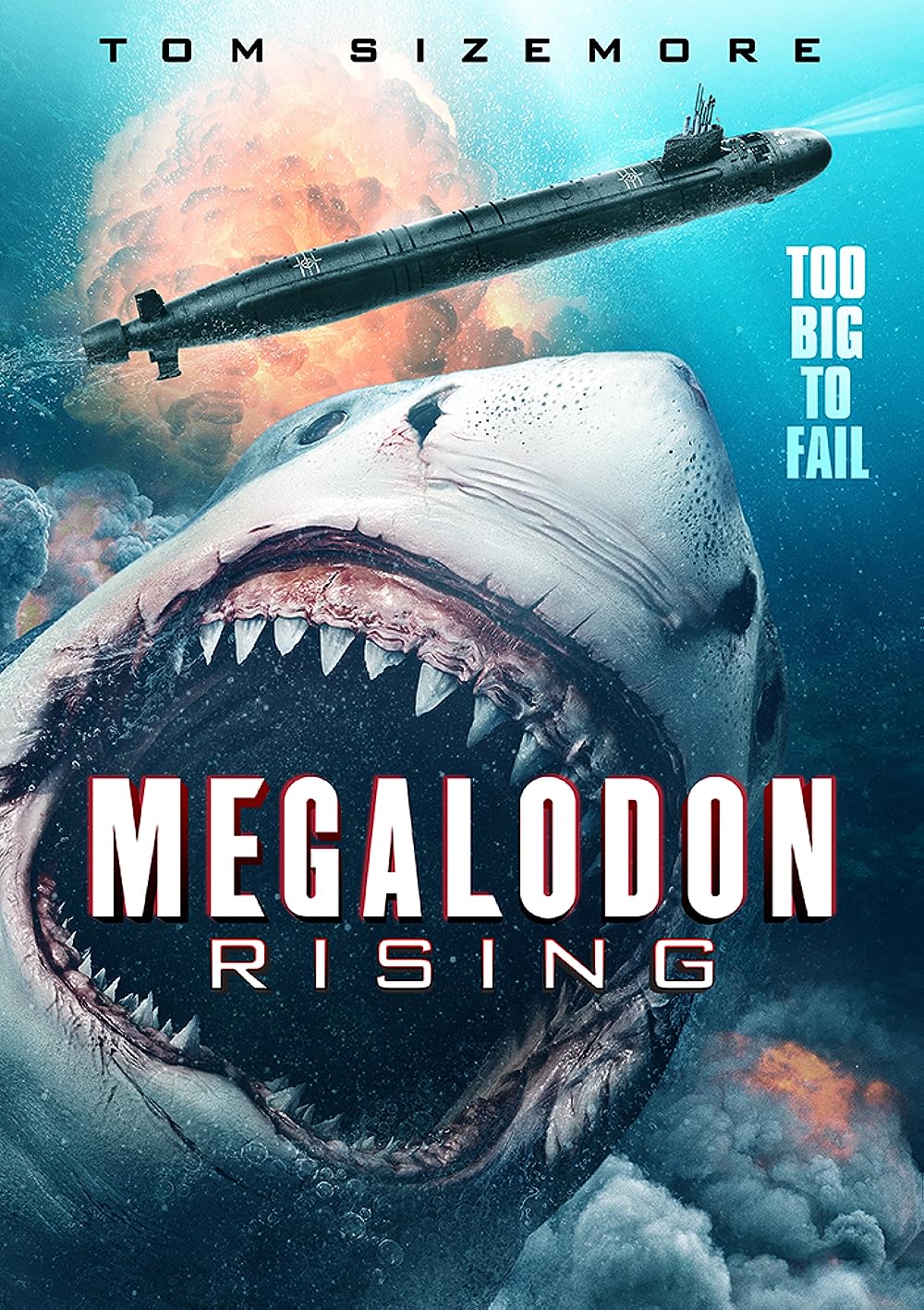 Megalodon Megalodon
