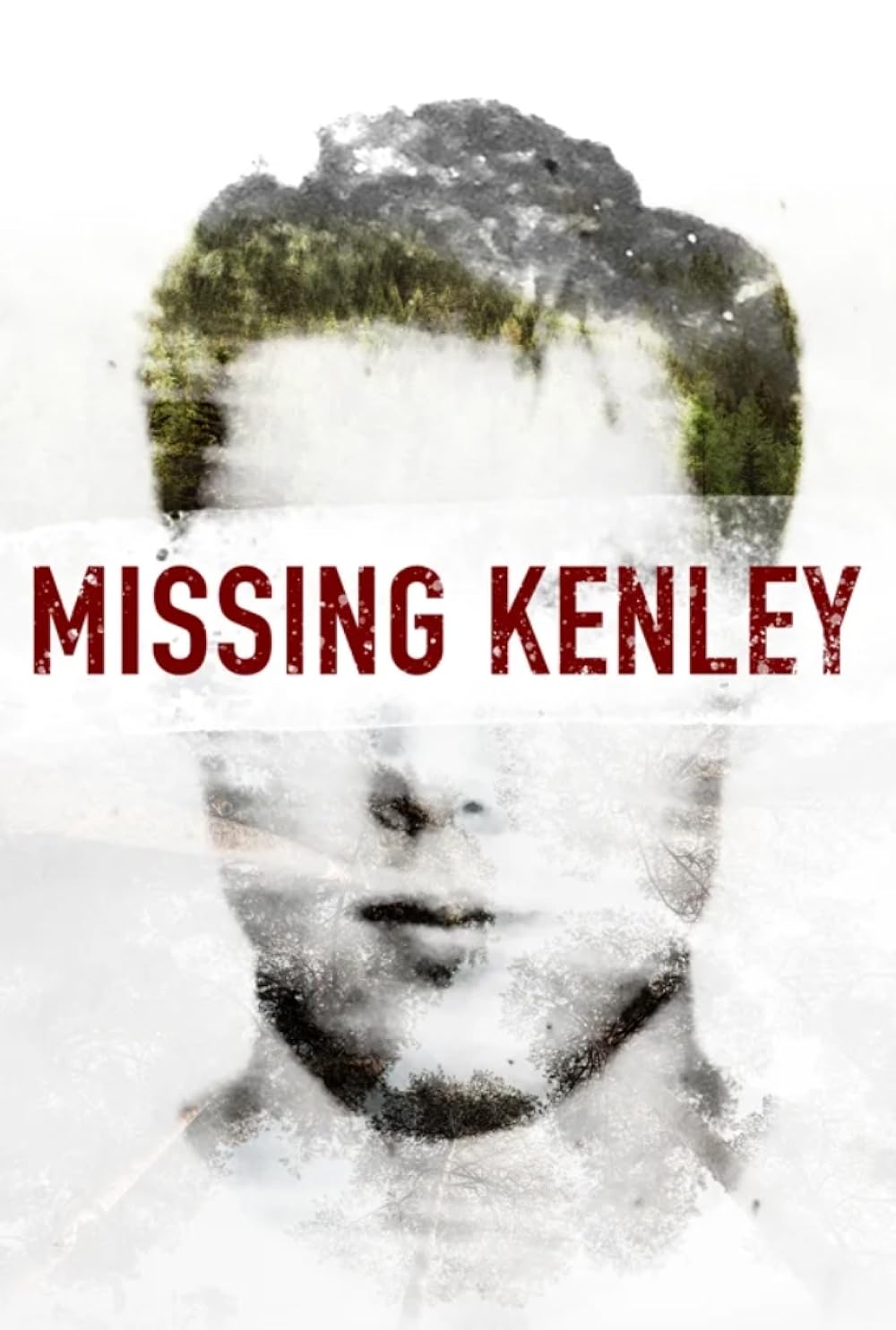 Missing Missing