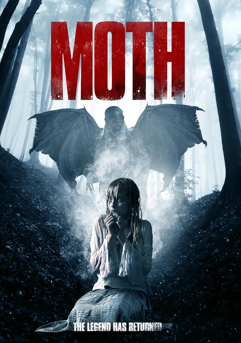Moth Moth