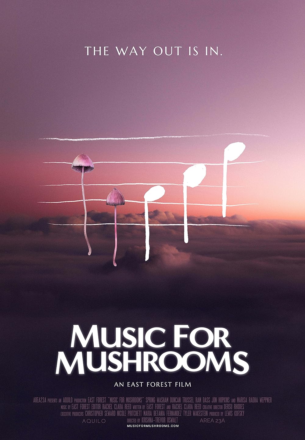 Music Music