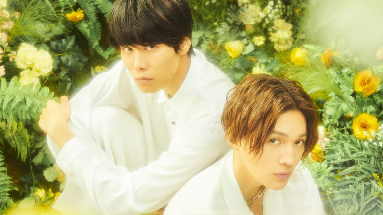 My My