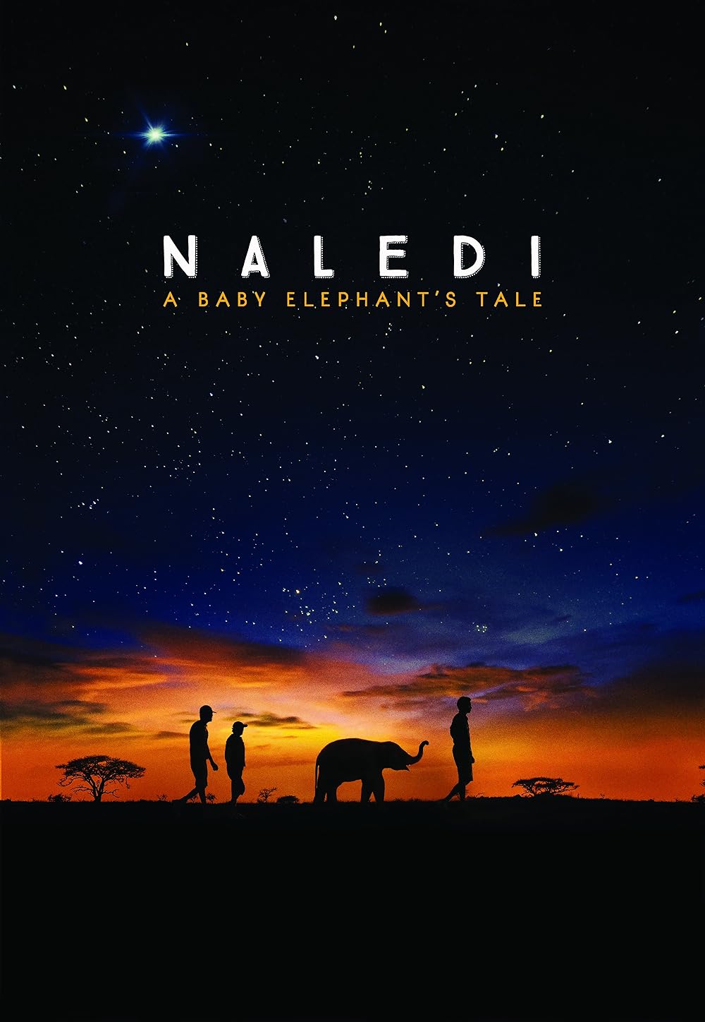 Naledi: