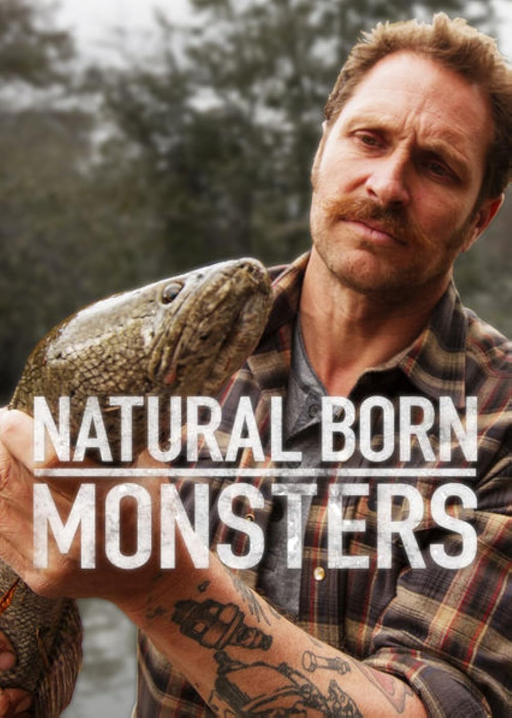 Natural Natural