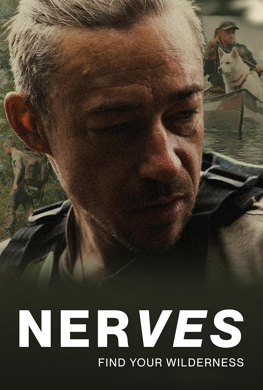 Nerves Nerves