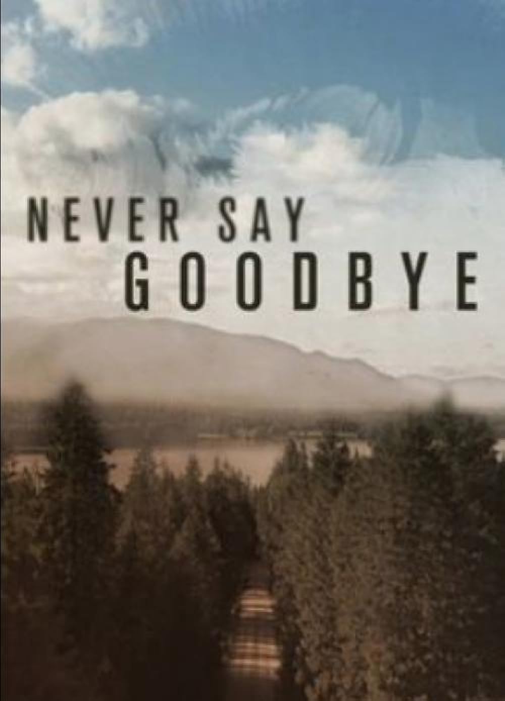 Never Never